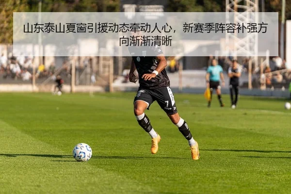 山东泰山夏窗引援动态牵动人心，新赛季阵容补强方向渐渐清晰